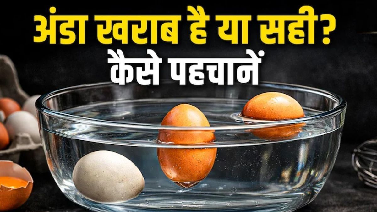 How To Identify Real or Fake Eggs