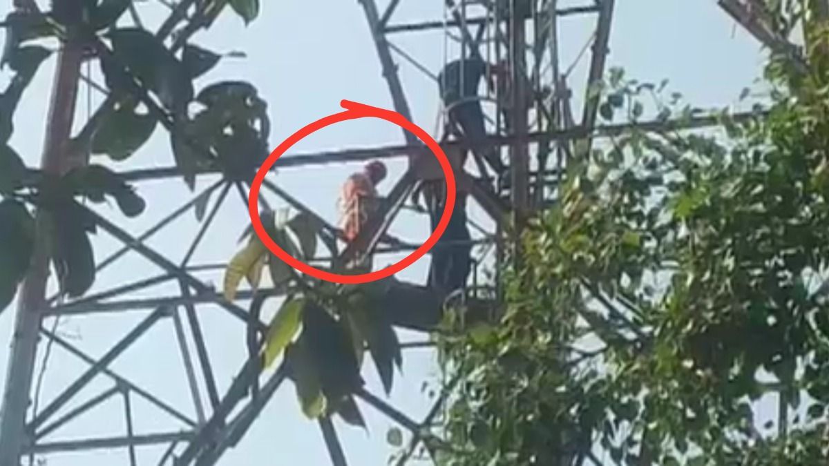 married woman climbs mobile tower with child for lover