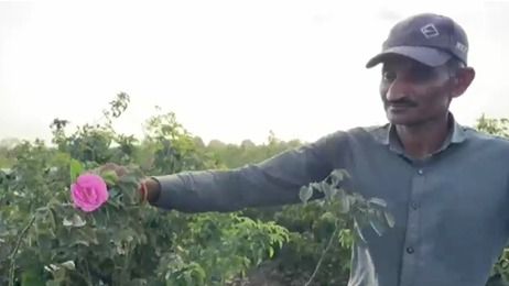 farmers earning lakhs from flower