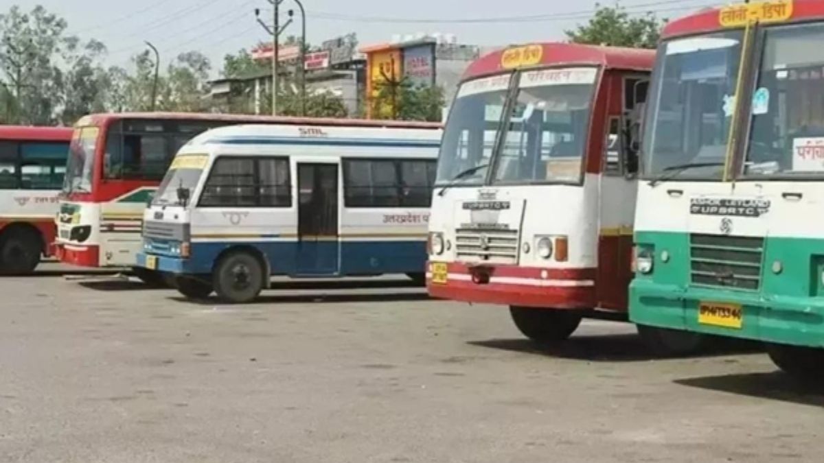 50% Bus Fare Concession