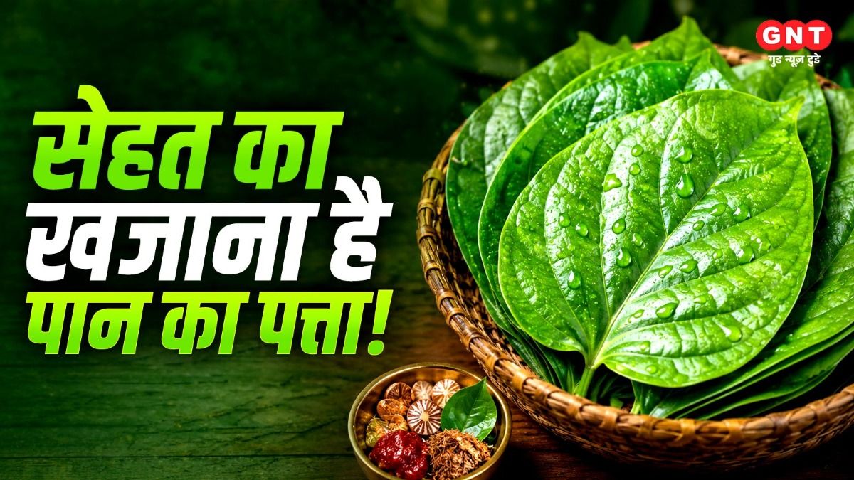 health benefits of betel leaf