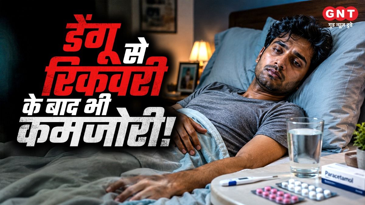 Dengue Recovery