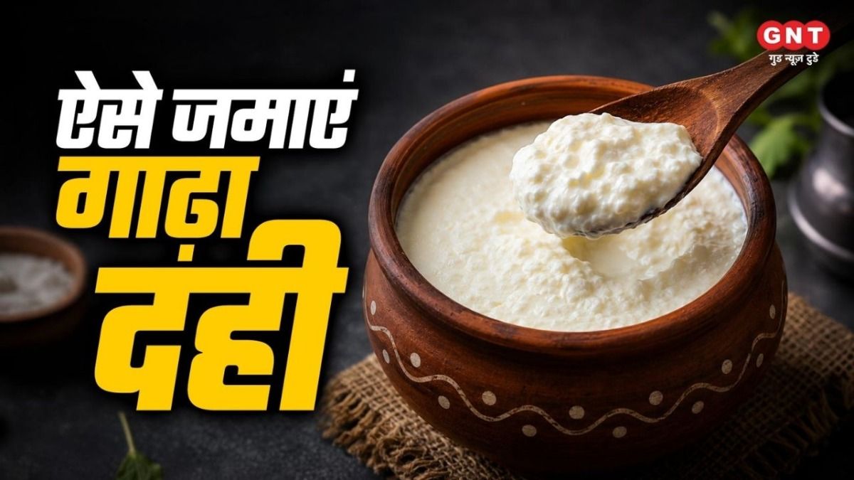 Thick Curd Setting Tips