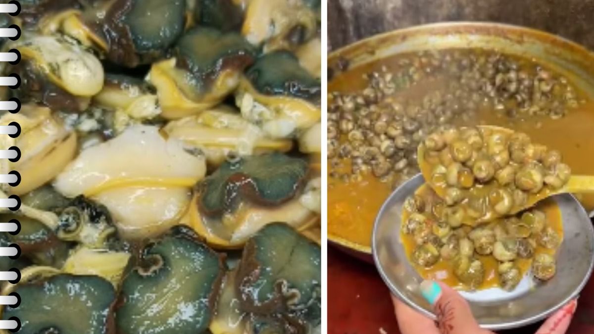 Snail meat benefits for Liver