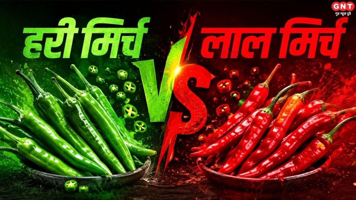 Red Vs Green Chilli
