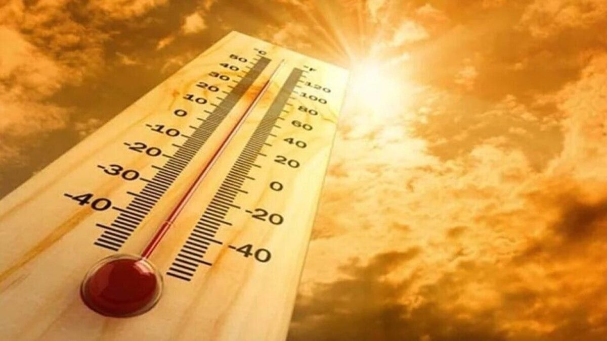 Delhi weather