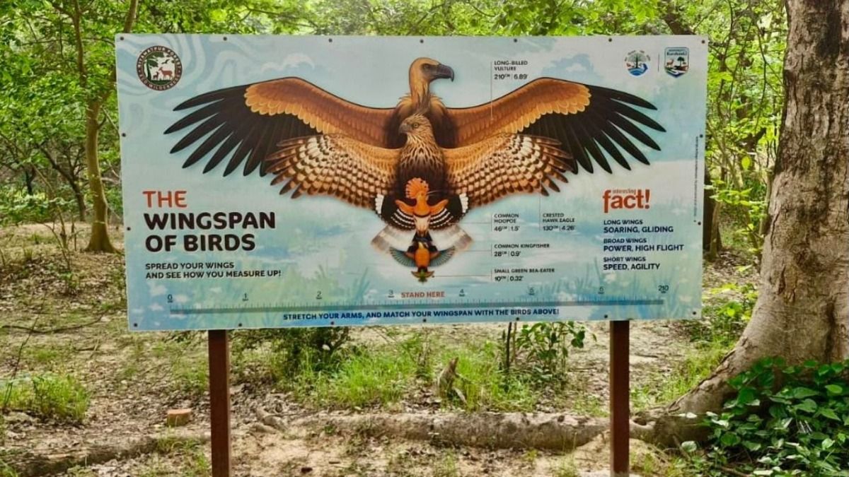 Niyamatpur Forest Area