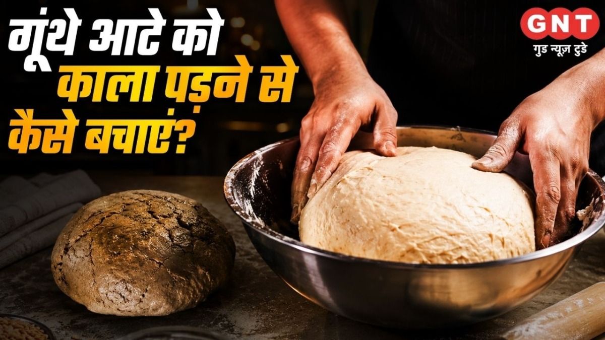  How to Store Flour in Fridge