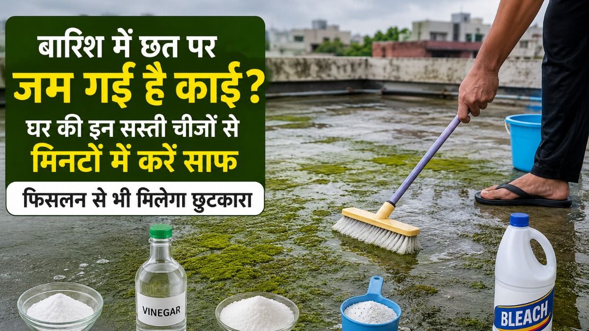 How to clean kaai 