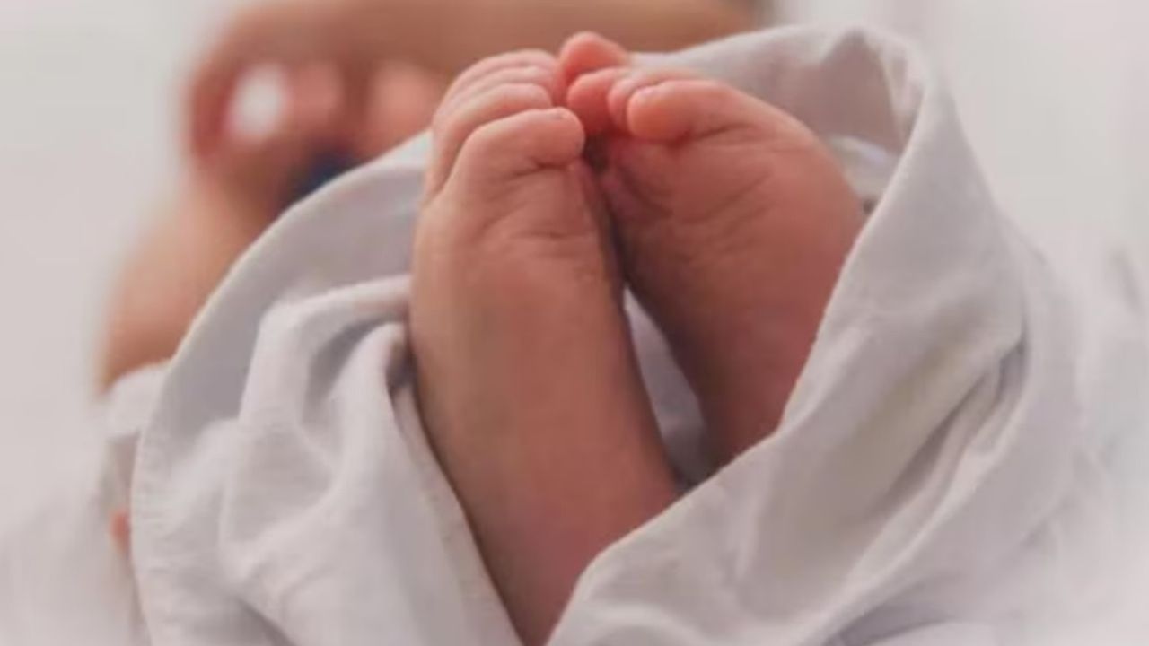 MP News: पति ने लगाया आरोप! समय पर नहीं मिली एंबुलेंस, पत्नी ने ऑटो में दिया 4 बच्चों को जन्म, अस्पताल पहुंचने से पहले सभी नवजातों की मौत