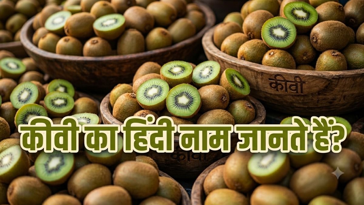 Kiwi