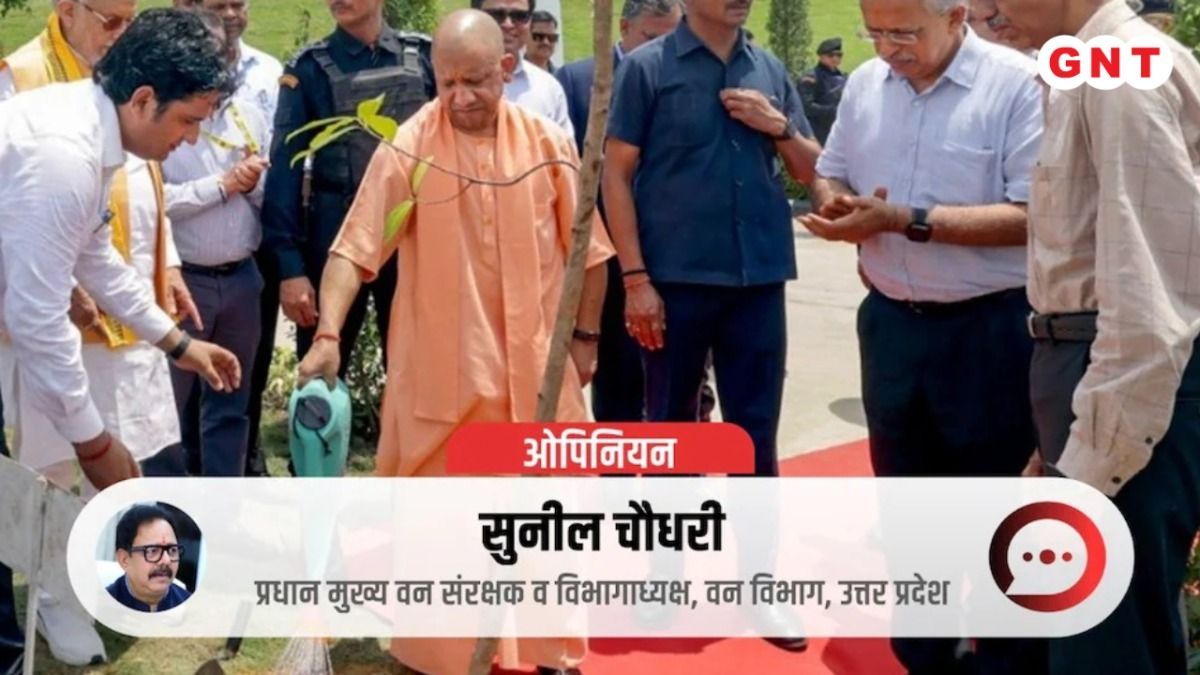 उत्तर प्रदेश में वन क्रांति का आधार लगातार मजबूत हो रहा है.