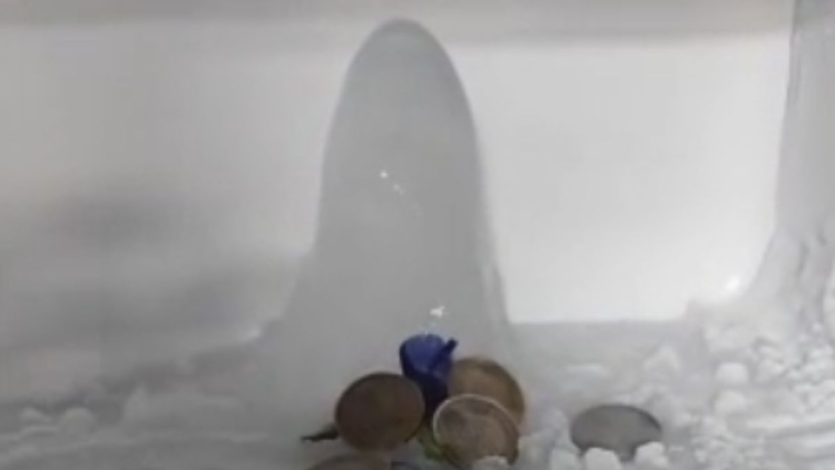 Agra Shivling