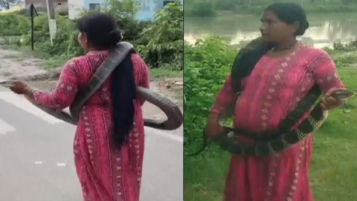 घर में सांप दिखते ही मच गई अफरा-तफरी