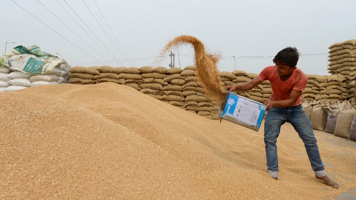 wheat procurement