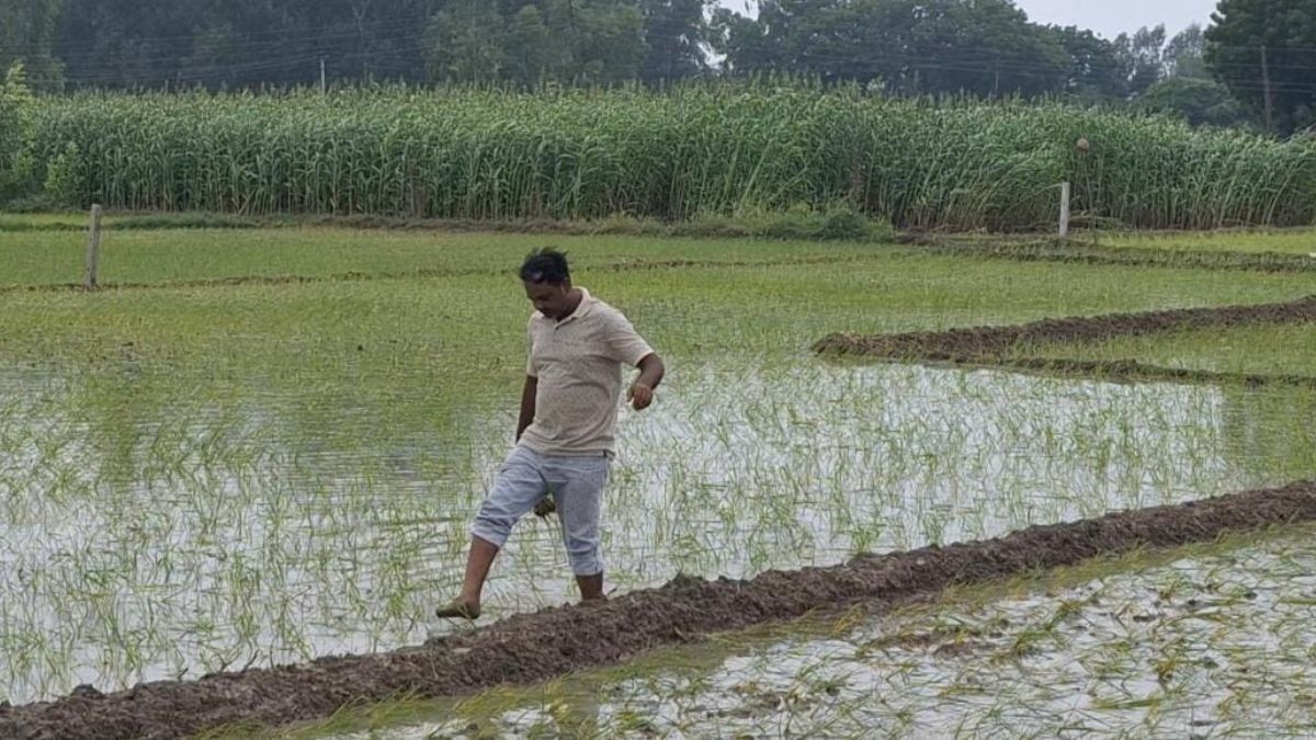 Amethi News