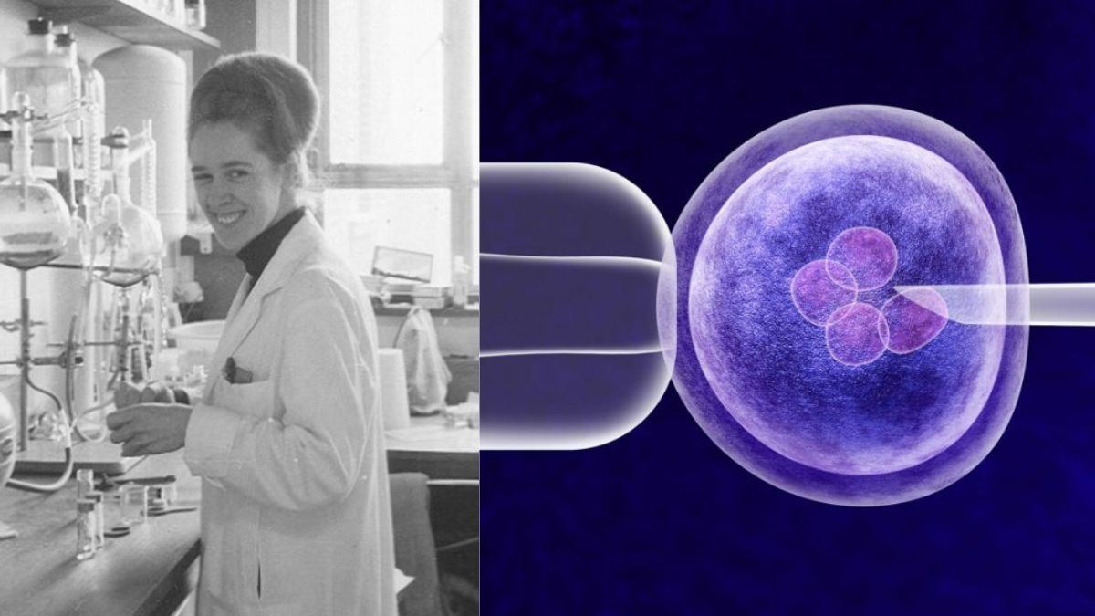  Jean Purdy