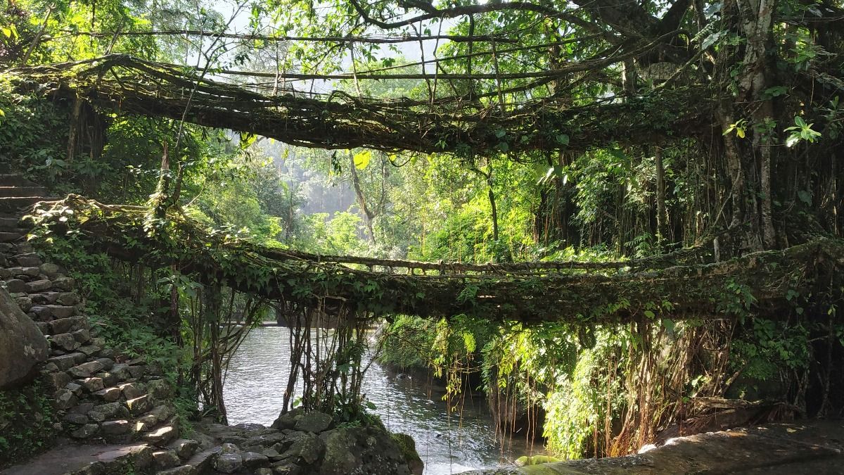 Meghalaya 
