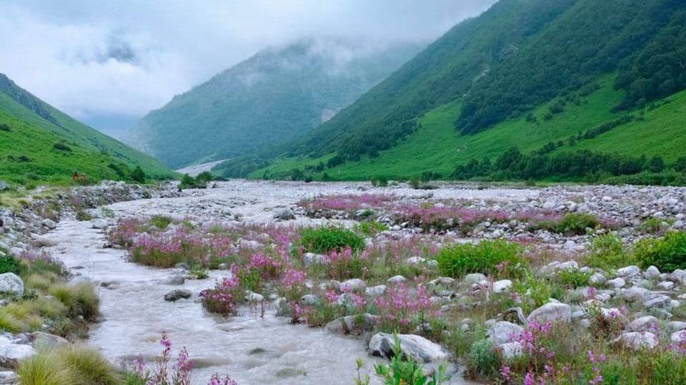 Valley of Flowers Chamoli