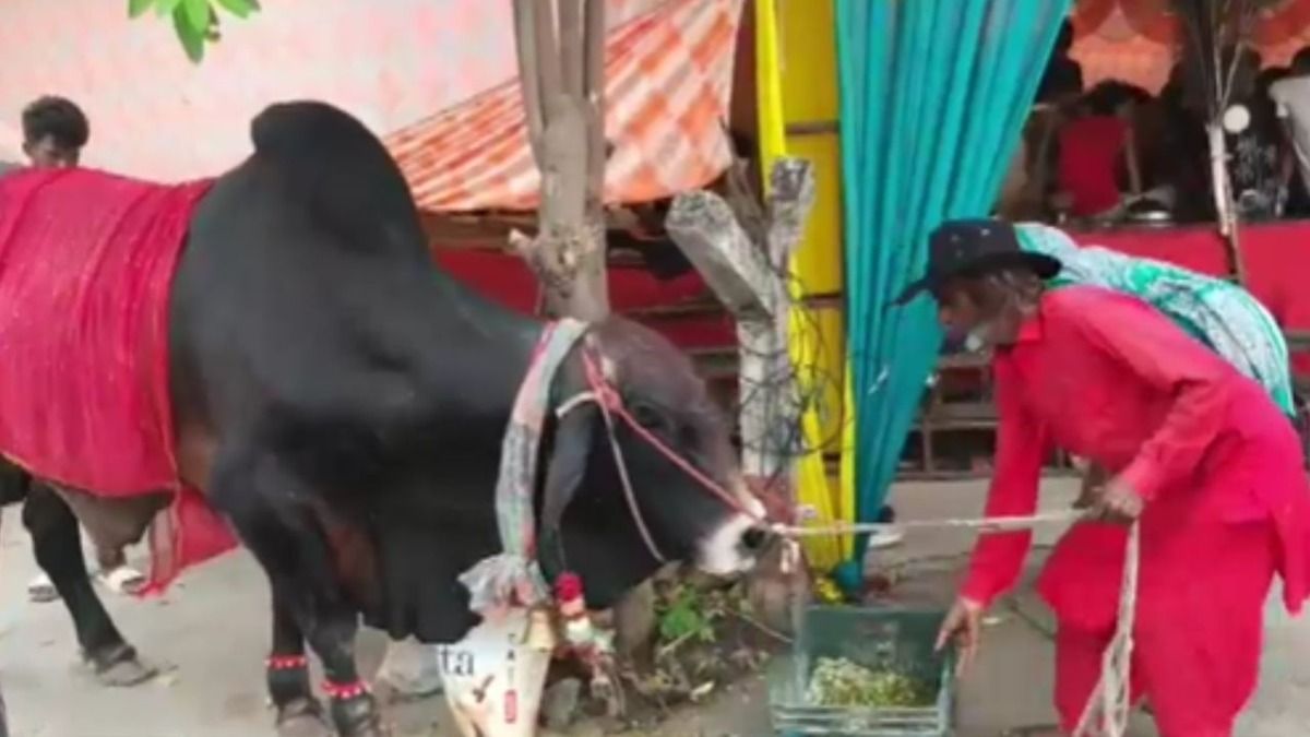Unique Devotee of Shiva