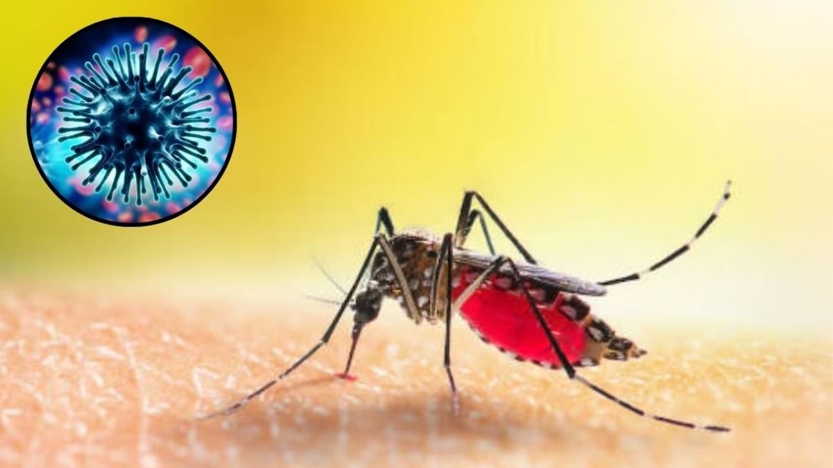 Delhi on Alert for Dengue and H1N1