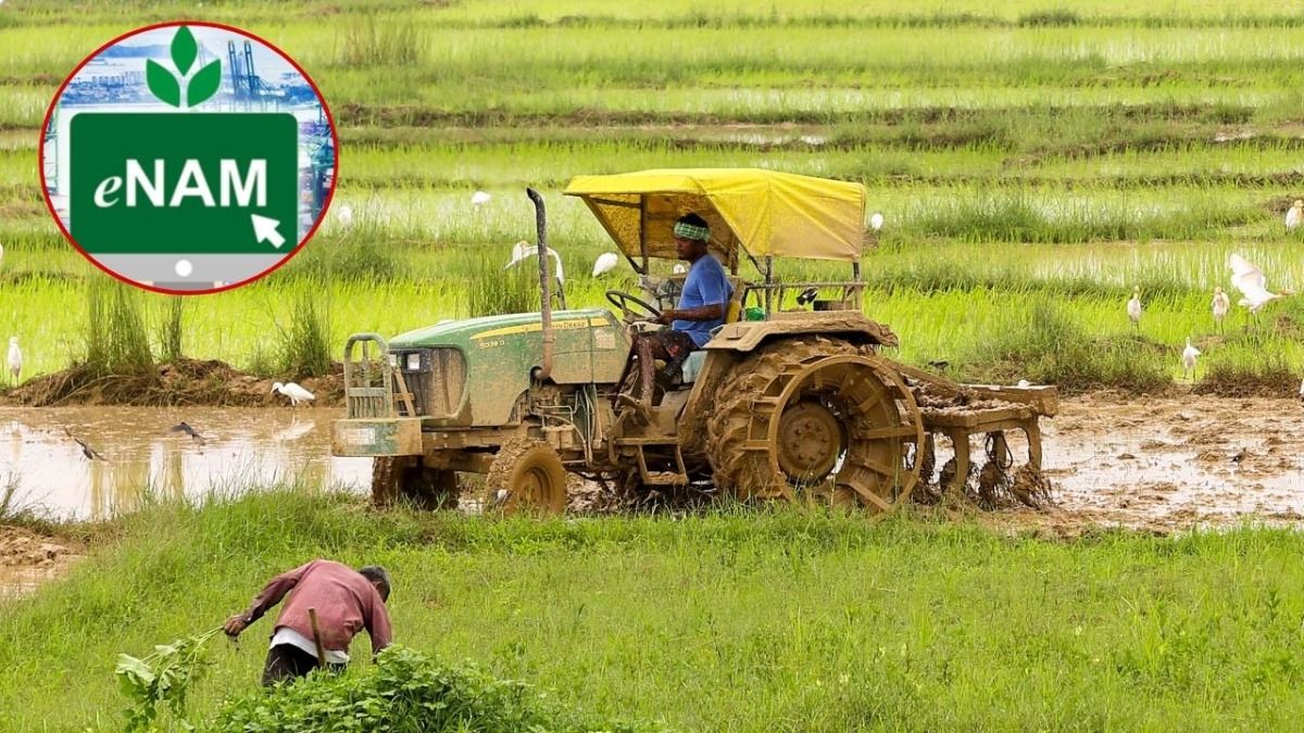 UP Farmers Benefit from e-NAM (Photo: PTI)