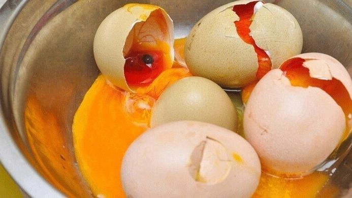 egg