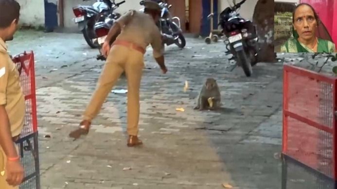 Monkeys snatched money from woman's hand (Photo: Screengrab)