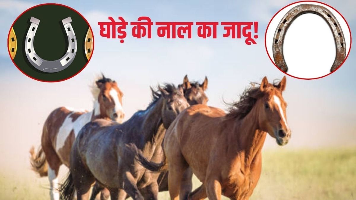 Ghode Ki Naal Ke Upay