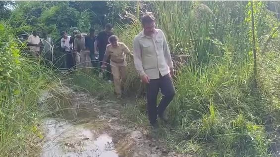 टाइगर रिजर्व में बाघ से दहशत