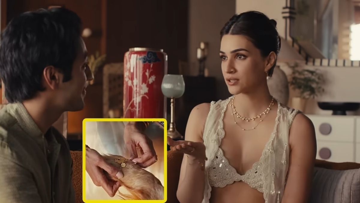 Kriti Sanon Raksha Bandhan Ad