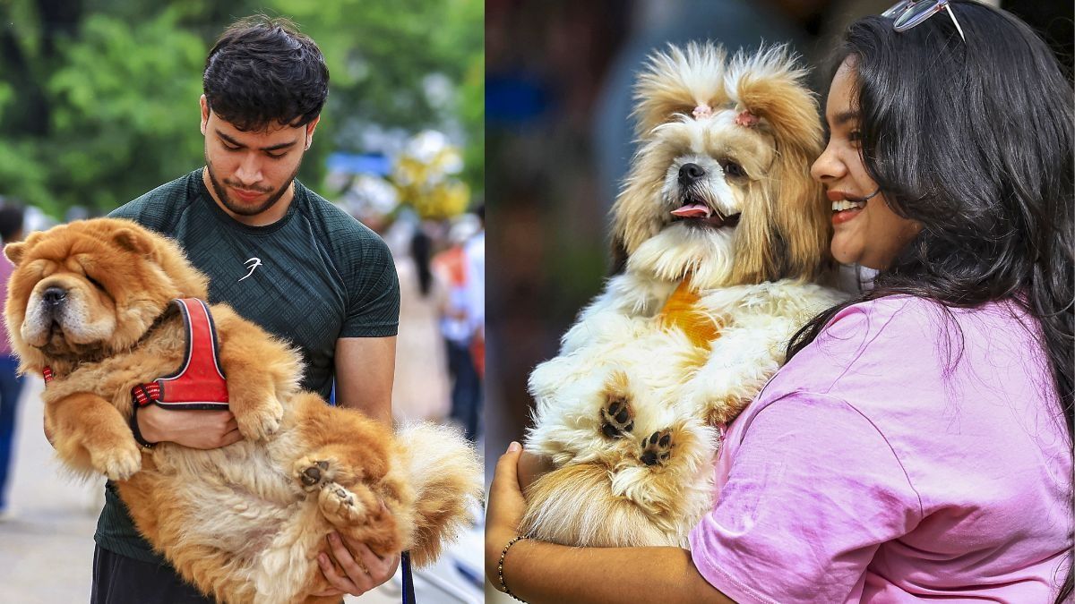 National Dog Day (Photo/PTI File)