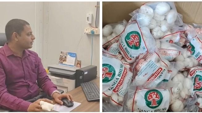 After 14 years in IT, BTech graduate Vikramdev Mohapatra returned to Odisha and built a mushroom farming business that produces up to 18 tonnes a month. (Image credit: X/@@manas_muduli)