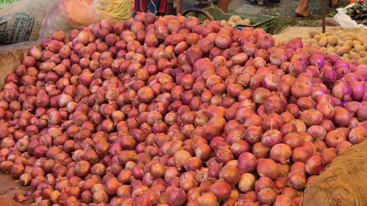 Onion Price Hike: प्याज के दाम में आग! तमाम सरकारी प्रयासों के बावजूद नहीं थम रही कीमत, ओखला मंडी में रेट 240 से 250 रुपए प्रति 5 किलो