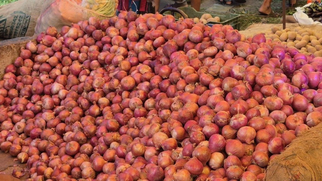 Onion Price Hike: प्याज के दाम में आग! तमाम सरकारी प्रयासों के बावजूद नहीं थम रही कीमत, ओखला मंडी में रेट 240 से 250 रुपए प्रति 5 किलो