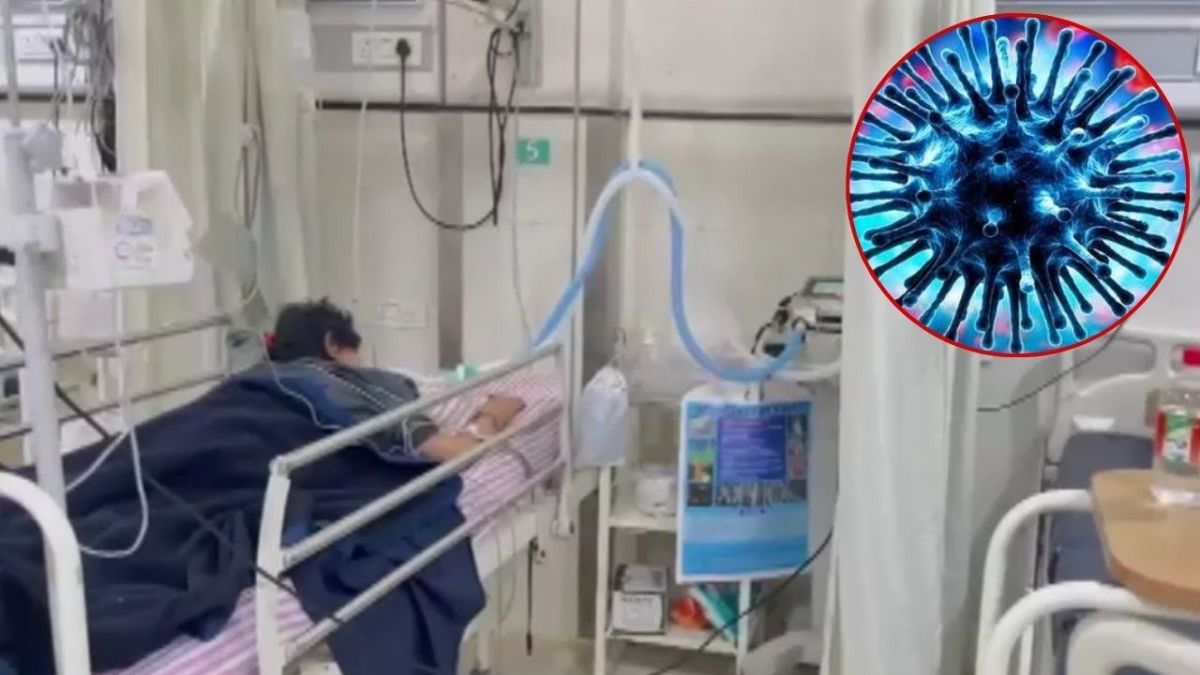Swine flu returns to Kota after two years