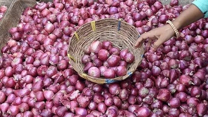 Delhi to get 1,000 MT onions from Centre, to be sold at Rs 35 per kg: CM Gupta