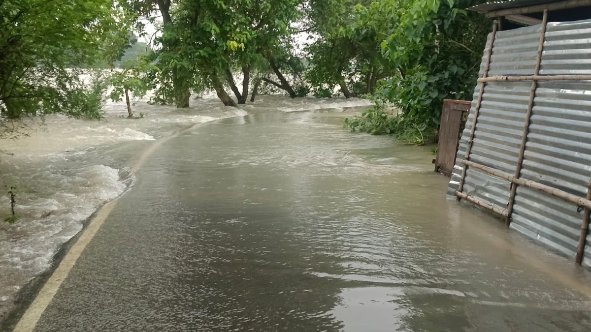 Bihar Flood News