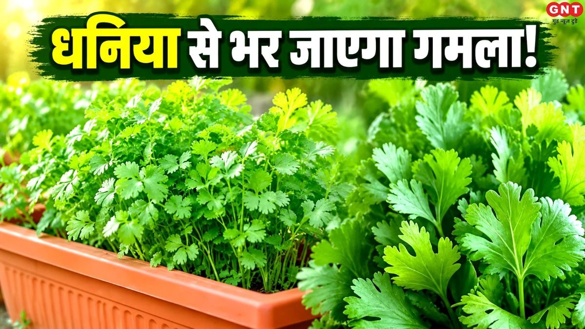 Gardening Tips