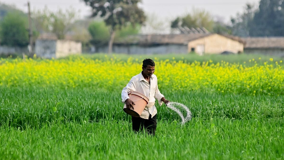 PM-Kisan Scheme (Photo/PTI)