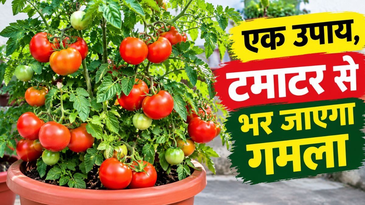 Gardening tips (Photo/ChatGPT AI)