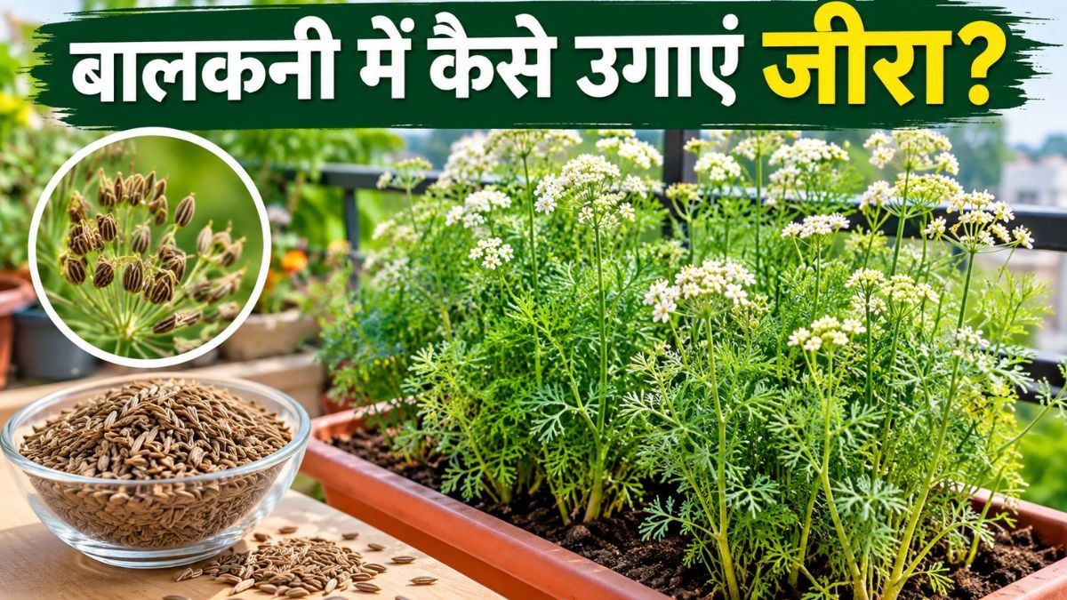 Gardening Tips (Photo/ChatGPT AI)