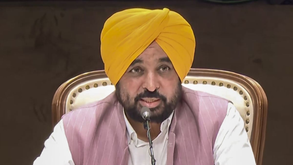 CM Bhagwant Singh Mann (Photo/PTI)