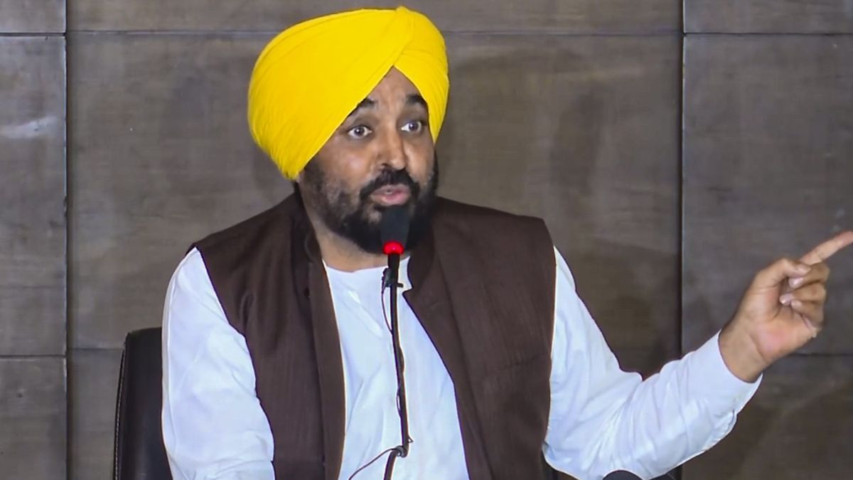 CM Bhagwant Mann (Photo/PTI)