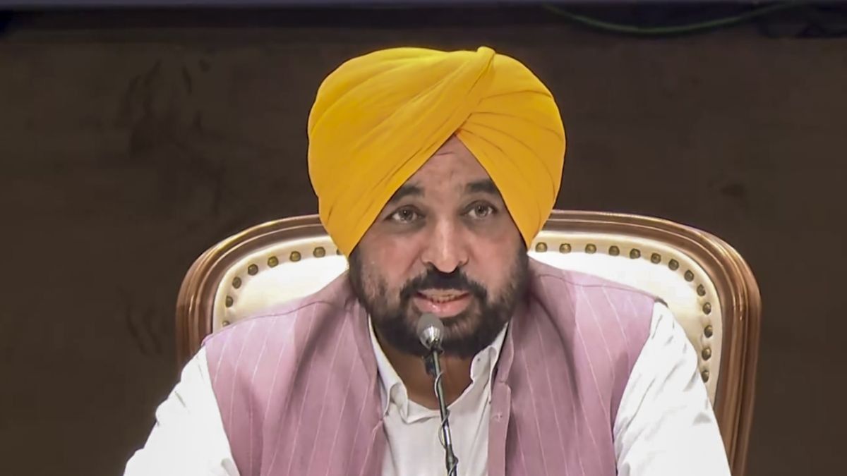 CM Bhagwant mann (Photo/PTI)