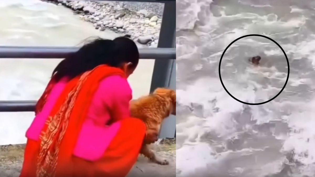 Nepal Viral Video