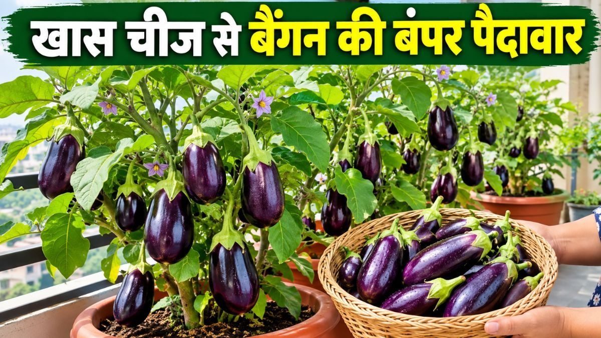 Gardening Tips (Photo/ChatGPT AI)