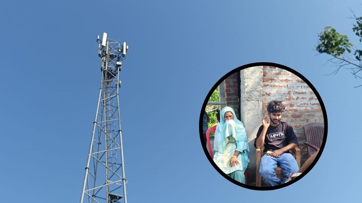 Gaya Young Lover Climbs Mobile