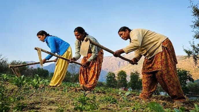 Farmers