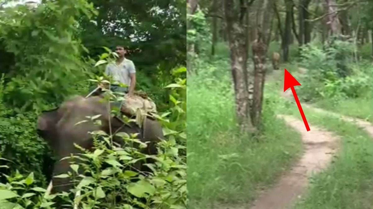 बगहा टाइगर रिजर्व